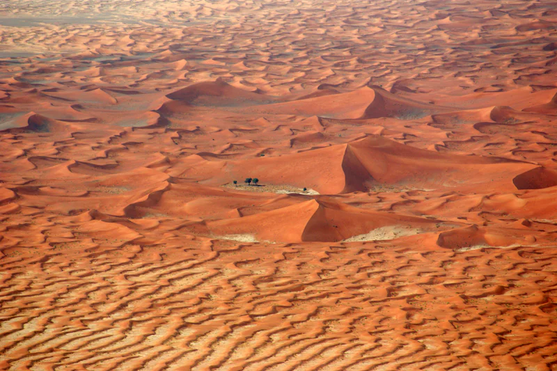 Aerial view of rippled dunes in the UAE desert